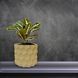 Квітковий горщик 3d, Razorix , круглий 15.5 x 14.5 cm, Колір Bej