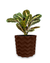 Квітковий горщик 3d, Pixelon , круглий 18 x 16.5 cm, Колір Коричневий