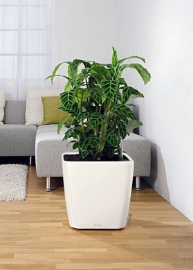 Умный горшок Lechuza Quadro Premium LS 50 квадратный 53 л 50 x 46 см, Цвет Кофе