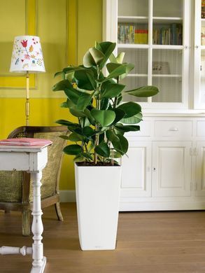Розумний горщик Lechuza Cubico Color 40 квадратний 7,5 л 40 x 76 см, Колір Коричневий