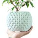 Квітковий горщик 3d Sferra круглий 16 x 14 cm, Колір Білий