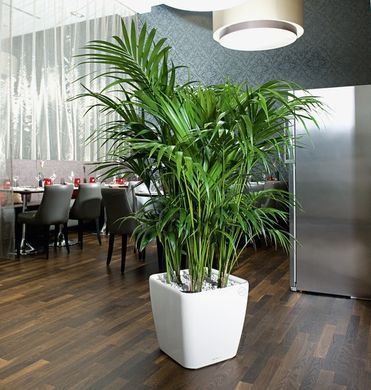 Розумний горщик Lechuza Quadro Premium LS 43 квадратний 32 л 43 x 39 см, Колір Кави
