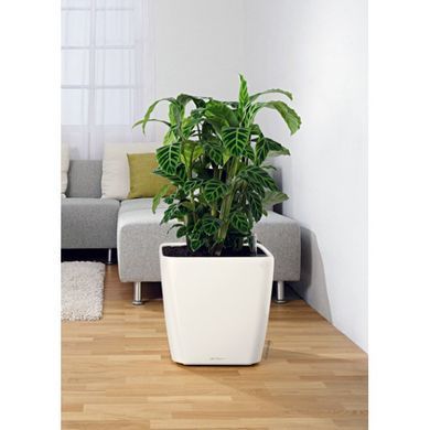 Розумний горщик Lechuza Quadro Premium LS 43 квадратний 32 л 43 x 39 см, Колір Кави