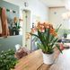 Умная орхидейница Lechuza Orchidea 20 круглая 1 л 18 x 20 см, Цвет Серый