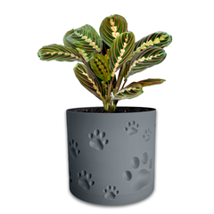 Квітковий горщик 3d, Trace Animal , круглий 12 x 11 cm, Колір Сірий