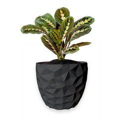Цветочный горшок 3d, Dunora , круглый 14.5 x 13.5 cm, Цвет Антрацит