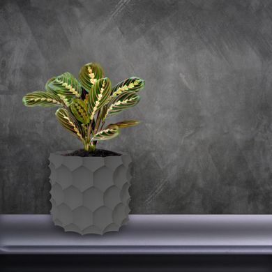 Квітковий горщик 3d, Razorix , круглий 11 x 10 cm, Колір Сірий