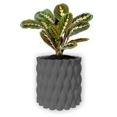 Квітковий горщик 3d, Twist Flow , круглий 13 x 12 cm, Колір Антрацит