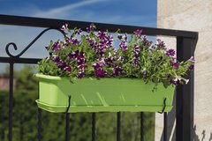 Балконний ящик для квітів Form-Plastic Venus прямокутний 3,2 л 16 х 12 х 30 см, Колір Антрацит
