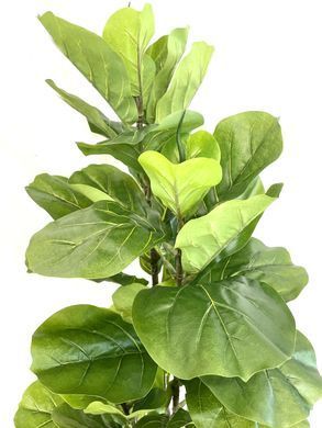 Фікус Лірата SGH (Ficus lyrata) штучний 120 см у горщику