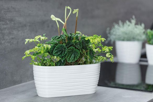 Горшок для цветов Form-Plastic Сахара петит овальный с подставкой 2,65 л 13 х 11 х 27 см, Цвет Светло-Серый