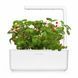 Смарт горшок Click and Grow Smart Garden 3, Цвет Бежевый
