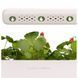 Смарт горшок Click and Grow Smart Garden 3, Цвет Бежевый