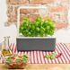 Смарт горшок Click and Grow Smart Garden 3, Цвет Бежевый