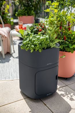 Умный горшок Lechuza PILA Color Planter 35 квадратный 14,5 л 35 x 33 см, Цвет Бежевый