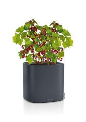 Умный горшок Lechuza PILA Color Planter 35 квадратный 14,5 л 35 x 33 см, Цвет Бежевый