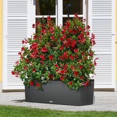 Розумний горщик Lechuza Balconera 30 TRIO Cottage прямокутне 14 x 3 л 32 x 100 x 35 см, Колір Коричневий