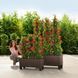 Умный горшок Lechuza Balconera 40 TRIO Cottage прямоугольное 31 x 3 л 42 x 130 x 44 см, Цвет Коричневый
