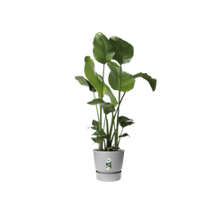 Горшок для цветов Elho Greenville Round круглый 31 л 40 x 37 см (345792), Цвет Светлый гранит