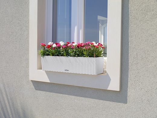Розумний горщик Lechuza Balconera Cottage 80 прямокутний 12 л 19 x 79 x 19 см, Колір Світло-коричневий