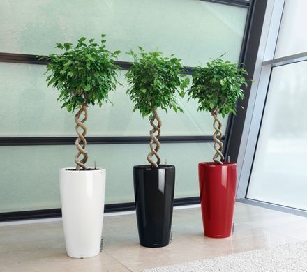 Умный горшок Lechuza Rondo 40 круглый 22 л 40 x 75 см, Цвет Антрацит