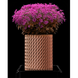 Квітковий горщик 3d Folium Premium круглий 13.5 x 15.5 cm, Колір Коричневий