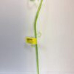 Подпорка под орхидею Form-Plastic Алмаз фирурная 39 см, Цвет Прозрачный-Зеленый