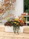 Розумний горщик Lechuza Balconera Color 80 прямокутний 12 л 19 x 79 x 19 см, Колір Білий