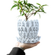 Квітковий горщик 3d Lavarra ridicat 13.5 x 11.5 cm, Колір Білий