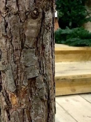 Ялинка SGH Traditional реалістична лита з дерев'яним стовбуром 3 м зелена